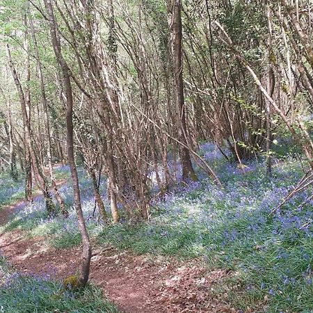 Отель Retraite Rustique En Bordure De Foret A La Campagne Belle-Isle-en-Terre Экстерьер фото