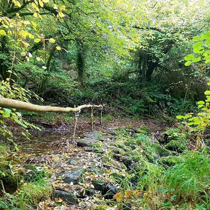 Отель Retraite Rustique En Bordure De Foret A La Campagne Belle-Isle-en-Terre Экстерьер фото