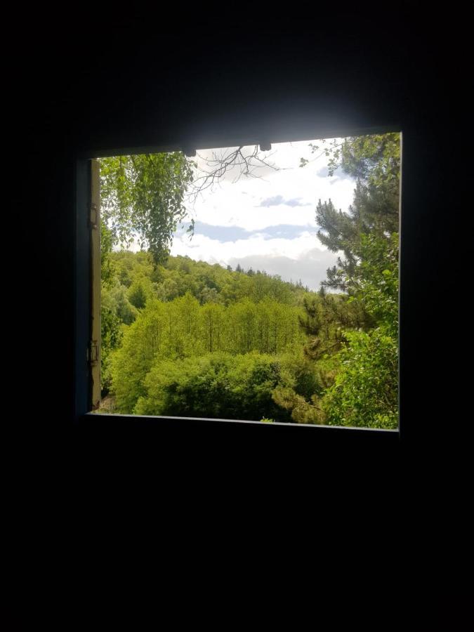 Отель Retraite Rustique En Bordure De Foret A La Campagne Belle-Isle-en-Terre Экстерьер фото