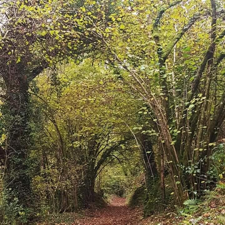 Отель Retraite Rustique En Bordure De Foret A La Campagne Belle-Isle-en-Terre Экстерьер фото