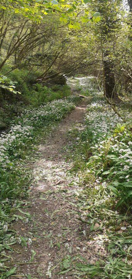 Отель Retraite Rustique En Bordure De Foret A La Campagne Belle-Isle-en-Terre Экстерьер фото