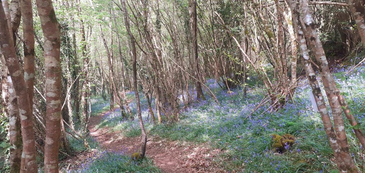 Отель Retraite Rustique En Bordure De Foret A La Campagne Belle-Isle-en-Terre Экстерьер фото